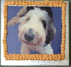 Another birthday celebration