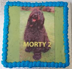 Mortimer's 2nd birthday