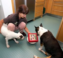 Wow, that looks like me