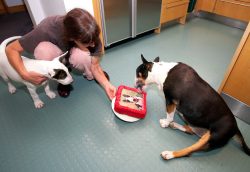 ........... well, I'll get stuck in