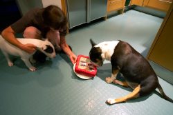 I just can't get over the likeness!