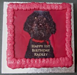 My first birthday celebration