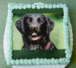 Happy Birthday Ellie