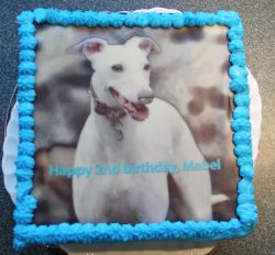 Happy birthday, Mabel