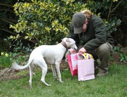 Are all of these for me?