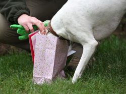 Think I'll look for something else