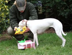 I can unwrap this one myself