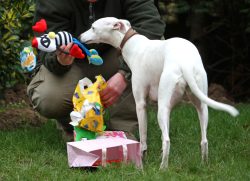 Oooh, that's colourful