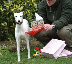 I know, I'm a lucky girl