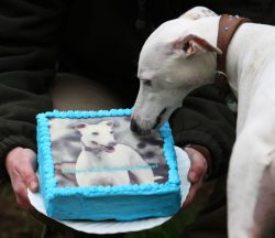 It looks just like me