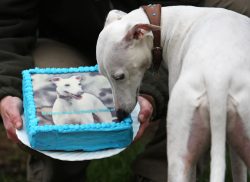 Don't s'pose I'm supposed to eat this