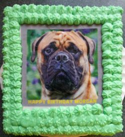 Happy birthday Morgan