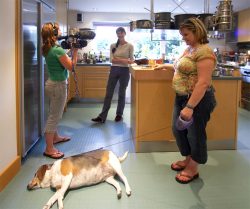Marjorie was showing Lou, Cathy (behind the camera) and Hattie (asleep on the floor) what Hattie would be eating during her stay at Lucies Farm.
