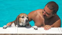 Hattie has just finished her swim, and Zbig is about to lift her out of the water. July 30 2006