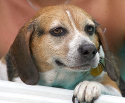 I like having these breaks