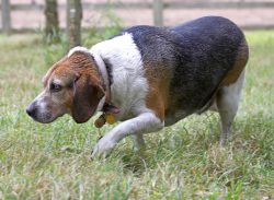 Terra firma - that's more like it!