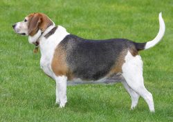 Watching and waiting