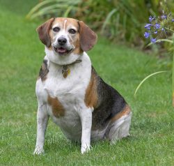 I know, I'm supposed to be running around