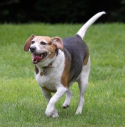 I'll just check it out over there