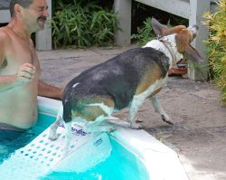 I've learned to get out of the pool all by myself