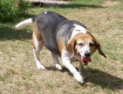 Phew, I'm glad that's over