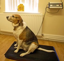 Yeah, yeah, I know the drill