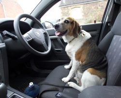 Well, tell me which way to go then