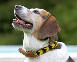 Does it look better like this?