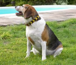 That's where I go swimming