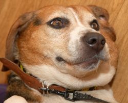 My favourite position