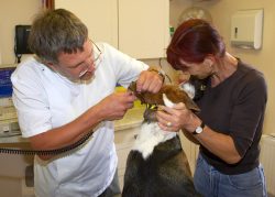 Yes, I do trust you but I hope this will be over soon