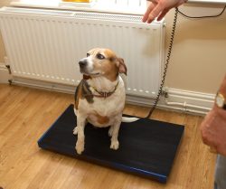 I've lost how much!!