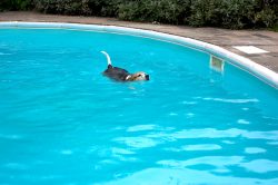 Look at me, swimming all by myself