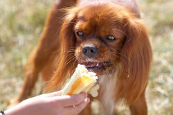 Mmmm, that's really good