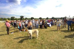 They went for a huge 1,000 doggie sit in for The Guiness Book of Records record at the 2006 Wag and Bone Show