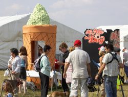 Victoria did a piece on the houndog hamburger, paw lickin' pizza, dog food, cake and cookies