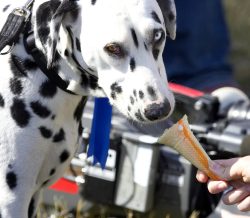 Just letting it melt slowly