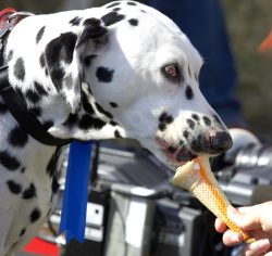 I know how to eat ice cream properly