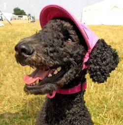 I'm happy to be here